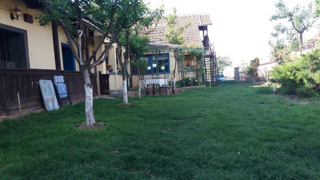 Гостевой дом Casa Traditionala Ardeleana Mădăras-12